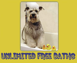 Unlimited Free Baths