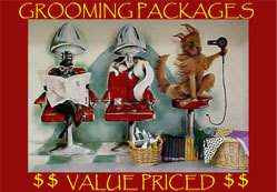 Grooming Packages